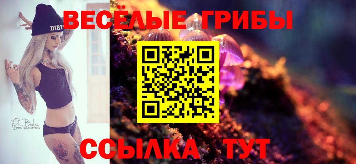 Галлюциногенные грибы ЛСД  Вход с VPN  Бутурлиновка  Галлюциногенные грибы мицелий 